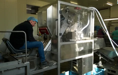 Лукочистка M&P (ножевая чистка лука)