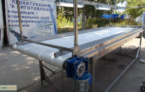 Инспекционный стол для сортировки ягод