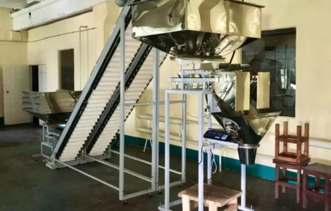 Фасовочныи комплекс для фасовки ядер грецкого ореха в пакеты коробку