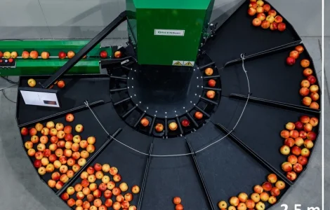Компактная сортировочная линия для яблок с камерой