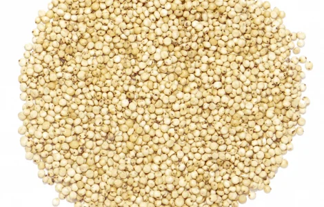 Закупаем сорго белое и красное