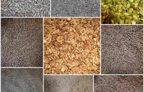 Зерновые Лён, Мак, Тмин, Чечевица, Кориандр, Ядро тыквы, Ядро подсолнуха