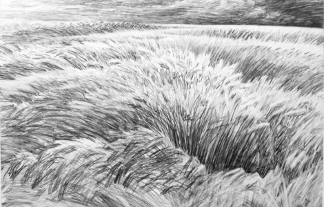 Закупаем Пшеницу и Ячмень Нового урожая.Оплата быстро