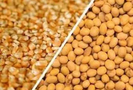 Приймаємо половинки сої, відходи кукурудзи