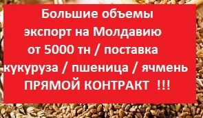 ЗАКУПКА на Молдову от 5000 т = Пшеница = Ячмень = Кукуруза
