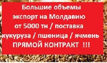 ЕКСПОРТ на Молдову = Пшеница = Ячмень = Кукуруза