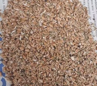 Купую цілий рік зернові відходи, олійні відходи, бобові відходи