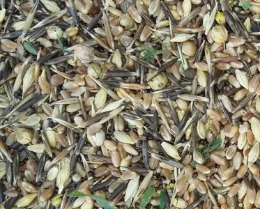 Куплю отходы зерновые, масличные, бобовые