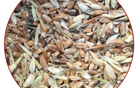 Постійно закуповую зерновідходи та некондицію