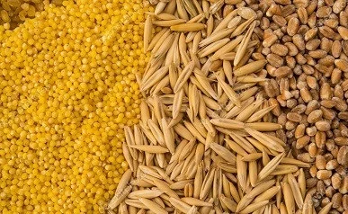 Куплю зерновідходи с/г культур