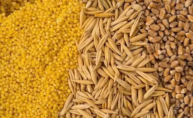Куплю зерновідходи с/г культур