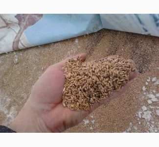 Купуємо некондицію, зерновідходи. Працюємо з посередниками