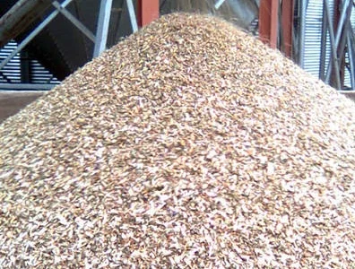 Куплю зерновідходи олійних, бобових, зернових культур