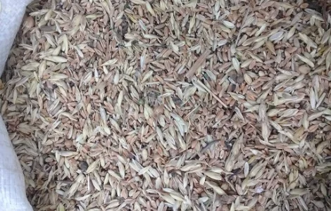 Купуємо зерновідходи, некондицію