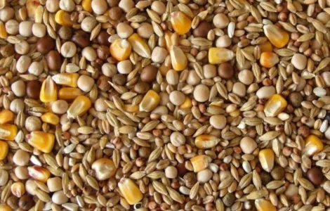 Куплю отходы кукурузы, подсолнечника, сои, пшеницы, ячменя, проса