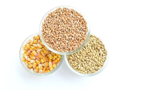 Закупаем все зерновые, некондицию, зерноотходы