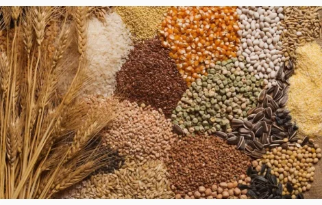 Куплю зерно, зерноотходы, некондицию