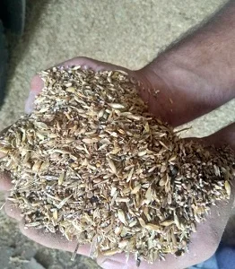 Зерноотходы зерновые. Отходы масличные. Бобовые зерноотходы