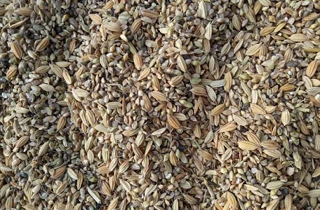 Куплю отходы Зерновые, масличные, бобовые