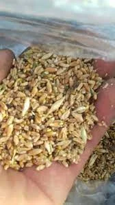 Зерноотходы, некондиция. Закупка