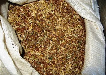 Закупаємо зерновідходи