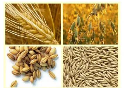 Закуповую зерновідходи по Україні