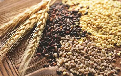 Постоянно закупаем зерновые отходы масличные, зерновые, бобовые