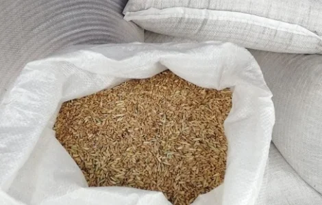 Зерновідходи, некондиція. Закупівля