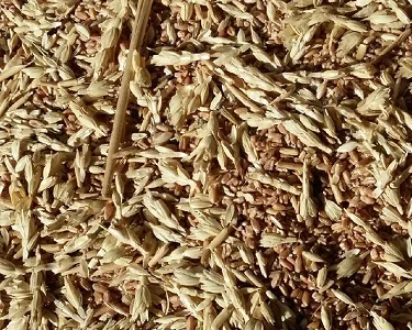 Куплю отходы кукурузы, пшеницы, сои, подсолнечника, ячменя, проса