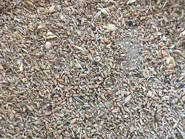 Куплю зерноотходы. Самовывоз