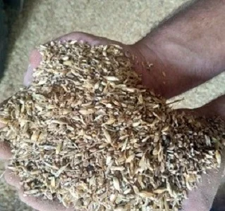 Купуємо зерновідходи з самовивозом