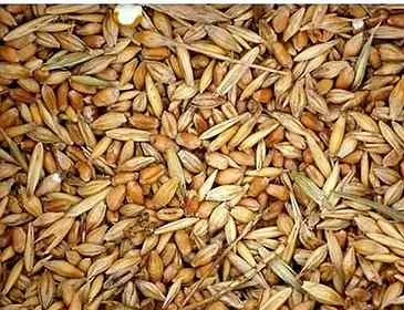 Куплю отходы зерновые, отходы масличные, отходы бобовые