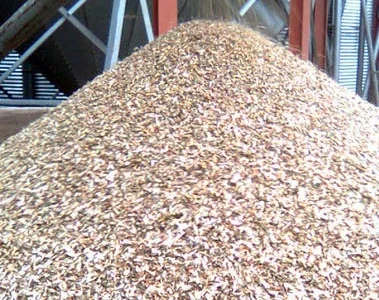 Куплю зерновые отходы, масличных отходы, бобовые отходы