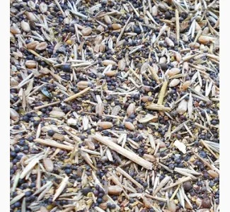 Куплю зерновідходи із самовивозом