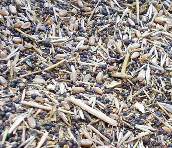 Куплю зерноотходы с самовывозом