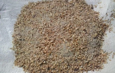 Куплю зерновые отходы, бобовые, масличные отходы