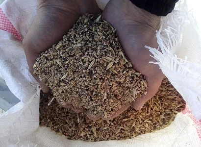 Куплю некондицію, зерновідходи зернових, бобових, олійних