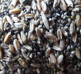 Зерновідходи зернових, бобових, олійних. Некондиція. Куплю