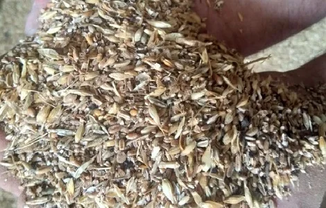 Покупаємо відходи зернові, олійні, бобові