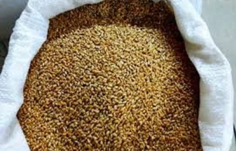 Куплю зерновідходи, некондицію з самовивозом