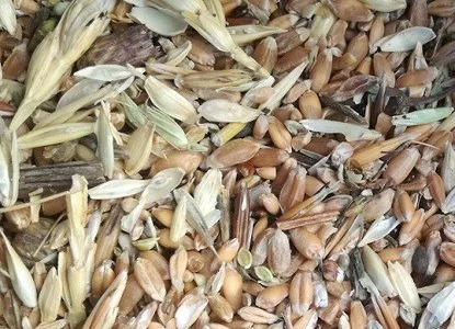 Куплю бобові