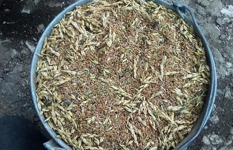 Куплю зернові, олійні, бобові зерновідходи