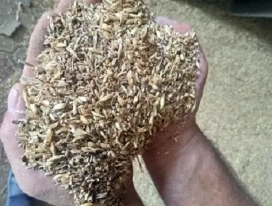 Куплю зерновые отходы с самовывозом