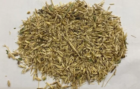 Закуповуємо зерновідходи. Працюємо з посередниками