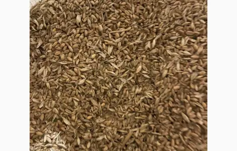 Куплю зерноотходы