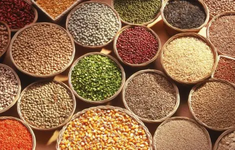 Продажа зерна: пшеница, кукуруза, соя и др