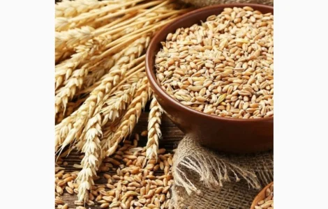 Куплю зернові та зернобобові культури