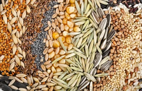 Закупаем зерновые, масличные и другие культуры