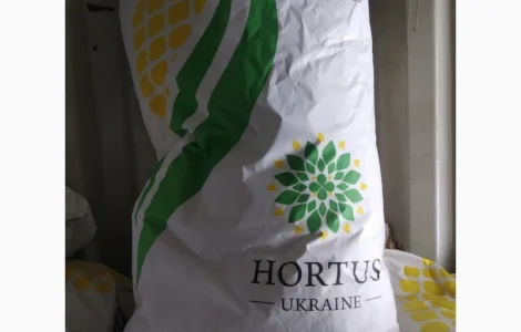 Продам посівну кукурудзу та соняшник
