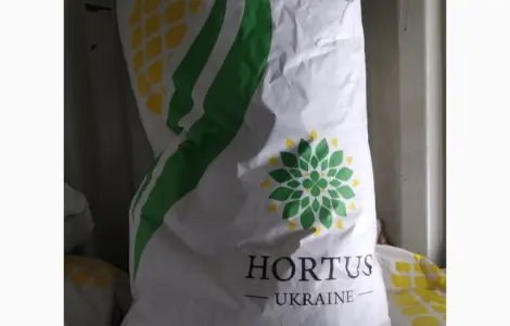 Продам посівну кукурудзу та соняшник